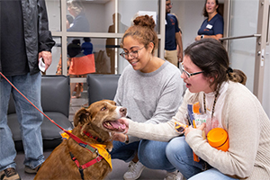 Students petting a therapy dog